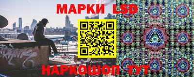 прущие грибы Дубна
