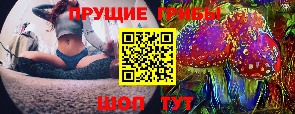 Псилоцибиновые грибы Cubensis Кызыл