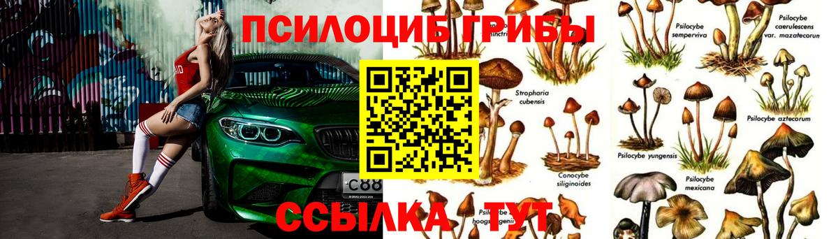 Псилоцибиновые грибы мицелий  Вход с VPN  Кызыл 